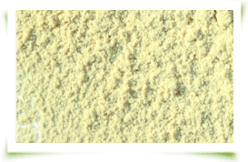 Soya Proteins